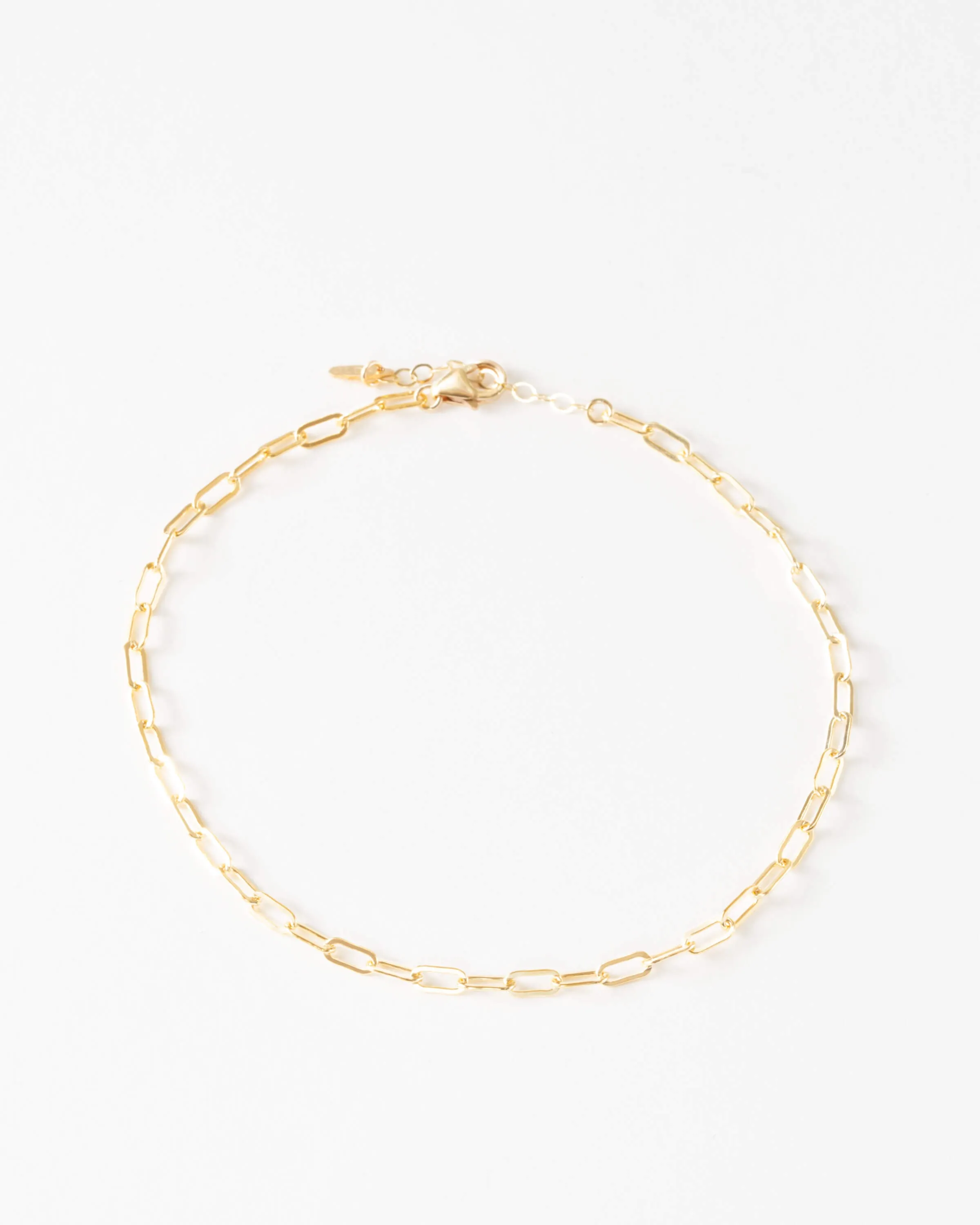 Small Paperclip Chain Anklet